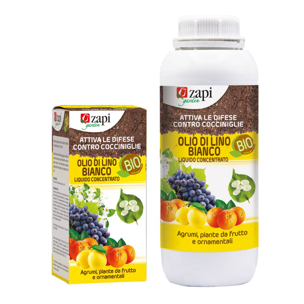 olio di lino bianco
